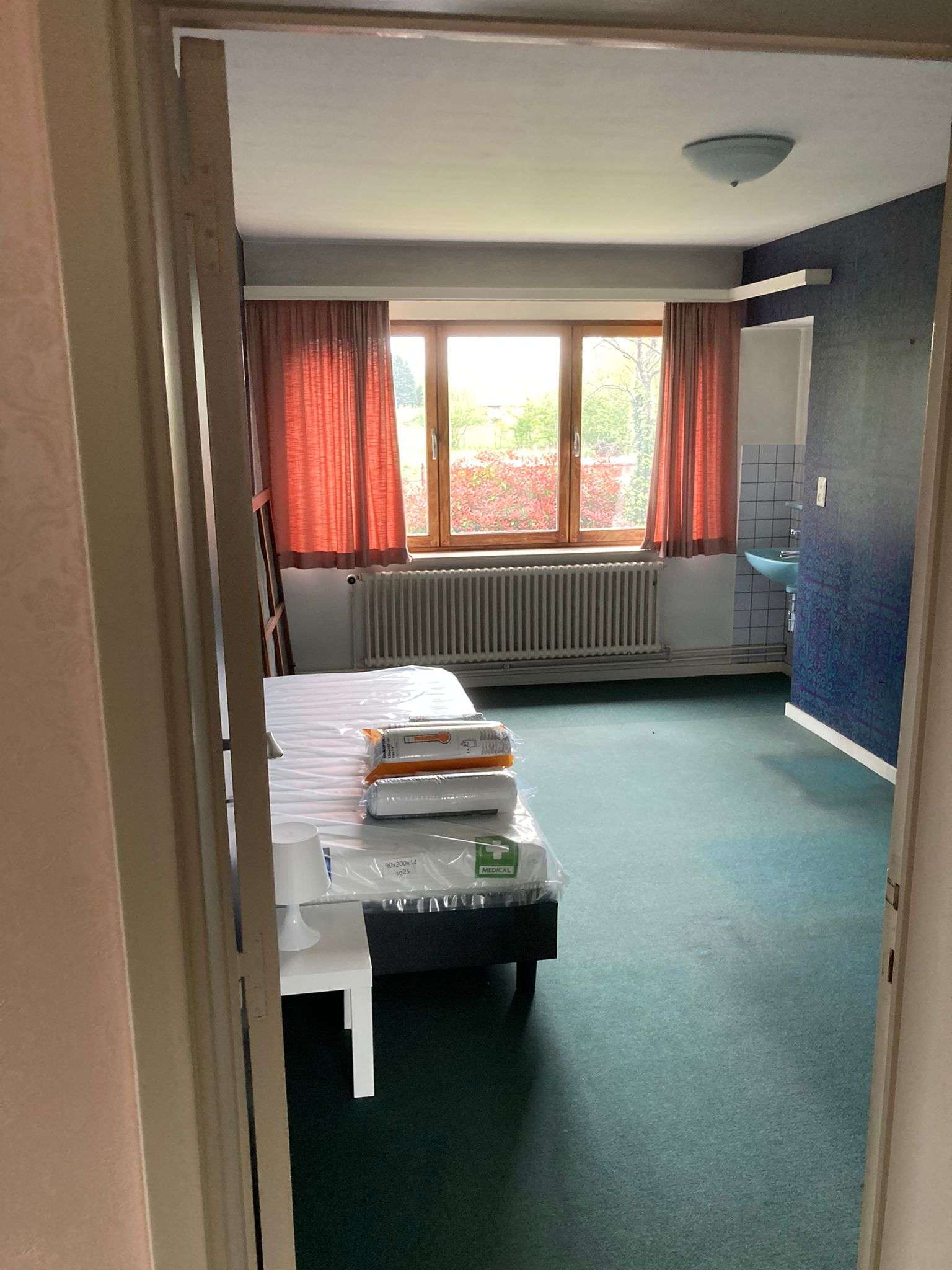 Balen (53)
