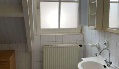 Beringe badkamer