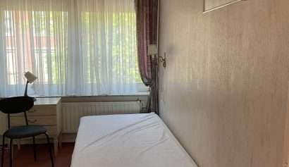 image-1750149752